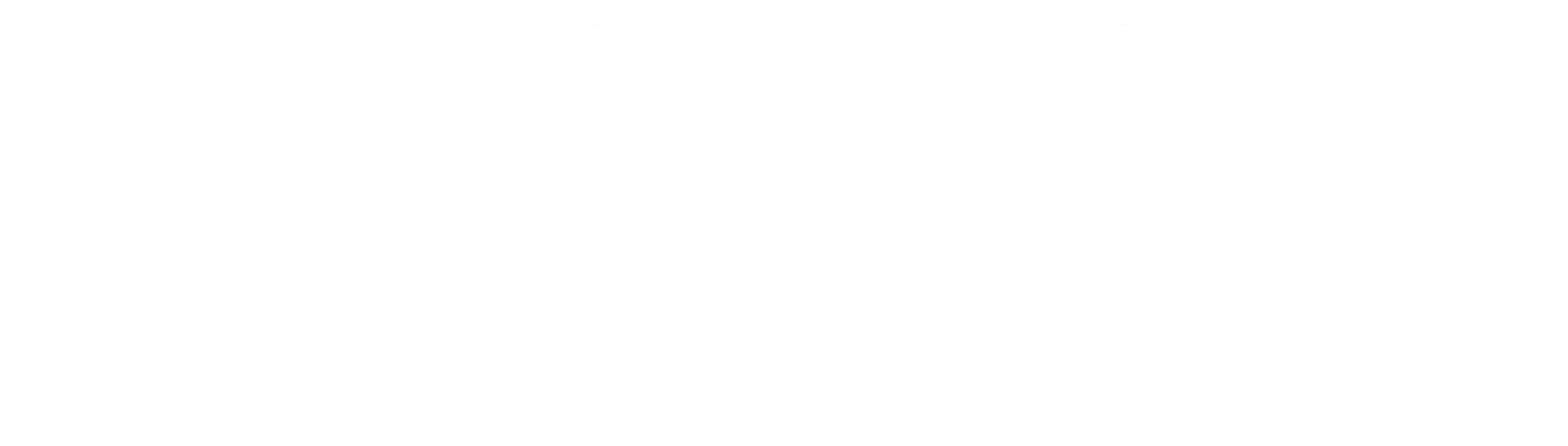 BESRIN